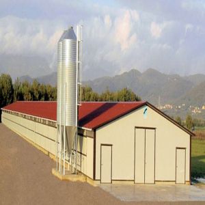 Steel Frame Chicken House Prefabricated Poultry Building Q235 Q345B