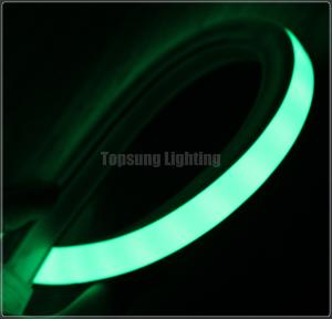 Cheap new design flexible led light 24v 16*16 m green hot sale wholesale