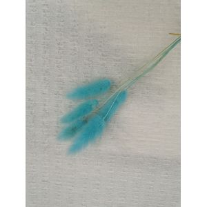 Cheap Bubble Lace Knitted Ivory Crinkle Stretch Fabric wholesale