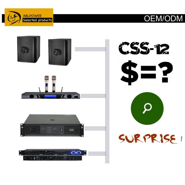 AC3 12 Inch Speaker Pair 600W Digital Karaoke Power Amplifier