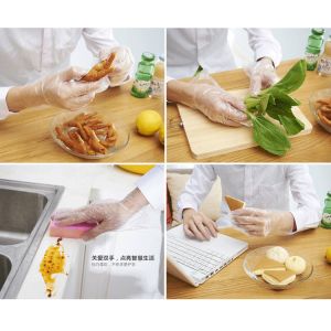 Cheap Disposable Transparent Clear Plastic Gloves , oilproof Kitchen Plastic Gloves wholesale