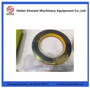 DN230 Putzmeister Concrete Pump Wear Plate Wear Ring DN180-DN260