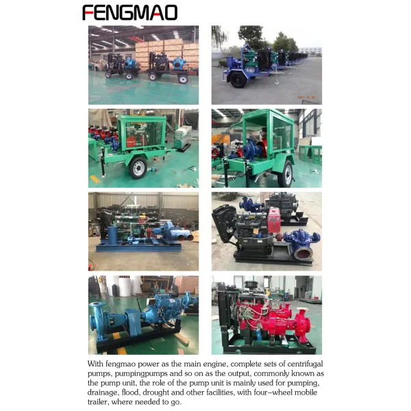 8inch 12 Inch Water Pump with Diezel Engine Generator R Set