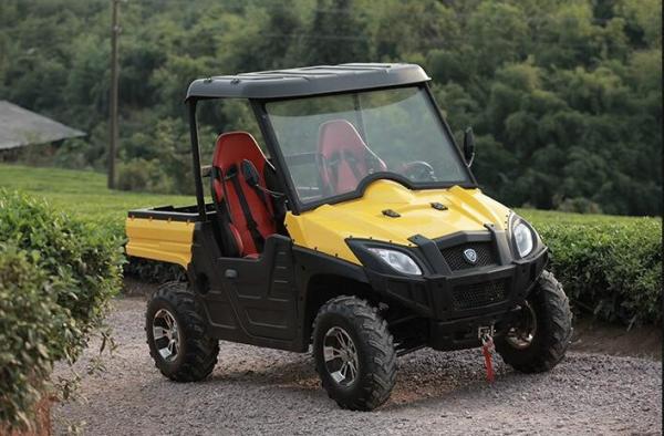Quality Water Cooling 650CC Gas Powered Utility Vehicles Four Stroke With Gasoline Engine for sale