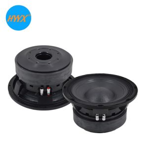 Cheap Double Magnet 10 Inch Woofer Speaker wholesale
