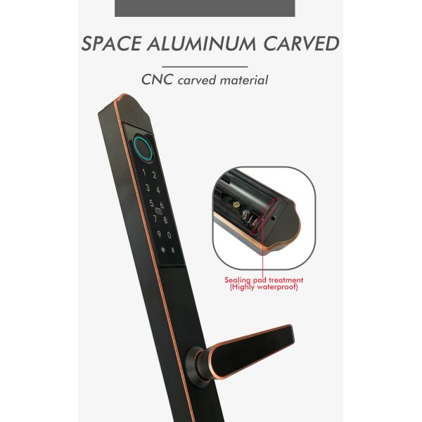 TuyaSmart Waterproof Door Lock WiFi Double Side Fingerprint Smart Lock