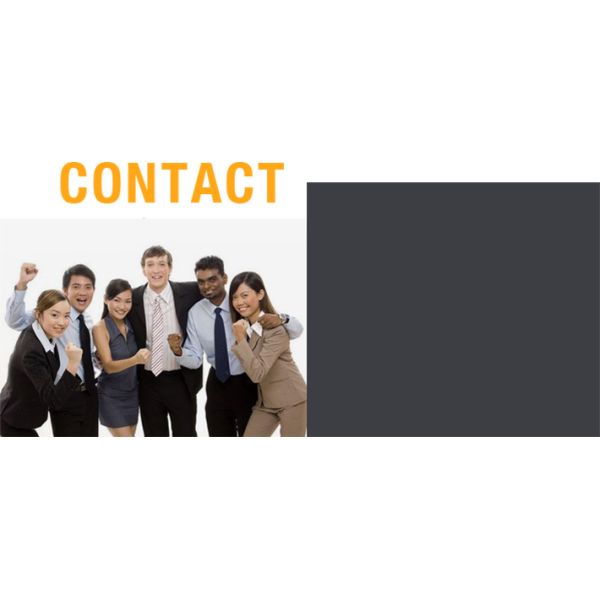 Stock design zipper wallet women printing women purse card wallet for girls