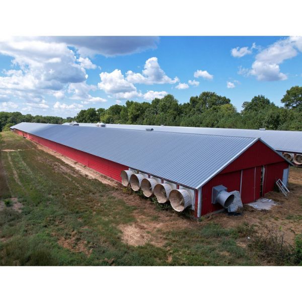 Q235B Q355B Steel Structure Chicken House , Economical Prefab Steel Structure