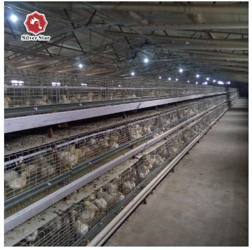 A Type Stainless Steel Chicken Cage Hot Galvanized Or Cold Galvanized