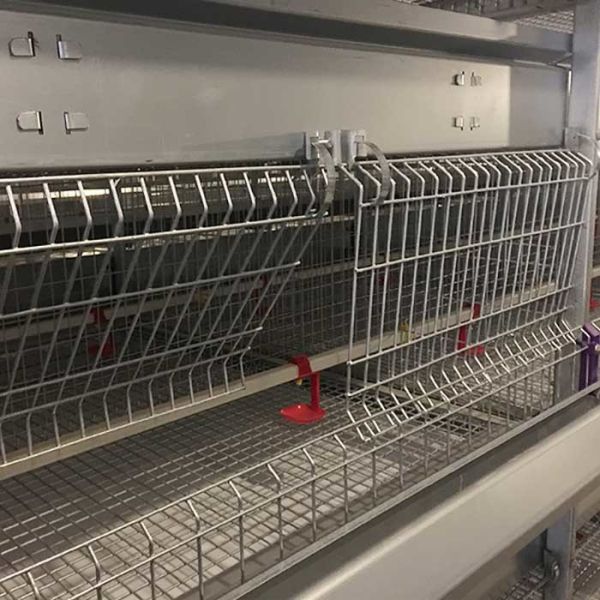 4 Tier 192 Birds Baby Chick Cage For Young Chick Breeding