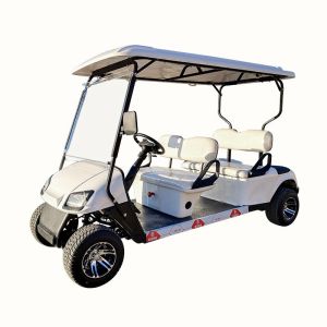 Scenic Tour Golf Cart Electric Car Sightseeing House Hotel Reception