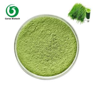 Cheap 95% Food Grade Wheat Grass Powder Nutrition Dietary Supplement Powder wholesale