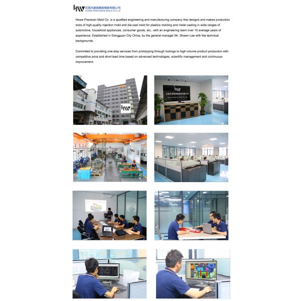 TSMP NAK20 Plastic Injection Mould For Toy Car Cover