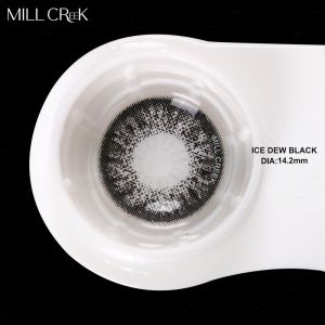 ISO13485 Coloured Limbal Ring Natural Black Contacts Yearly