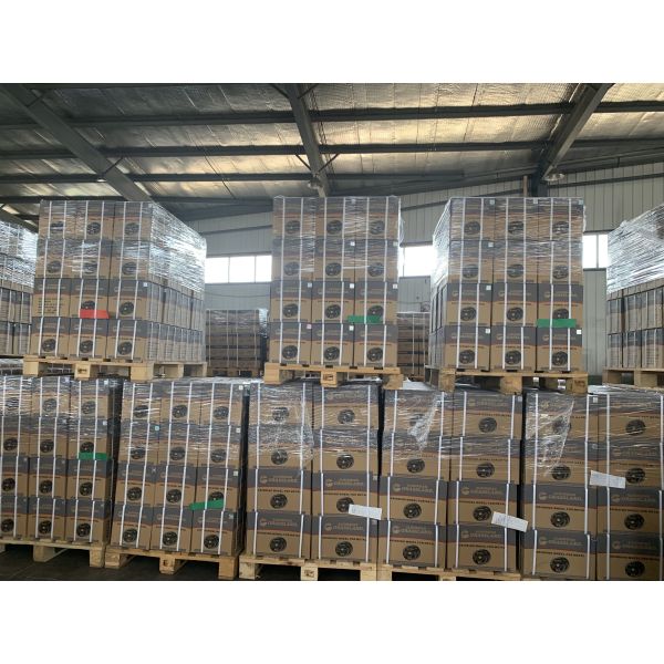 Marble Stone Grinding Polishing 115mm Silicon Carbide Flap Disc