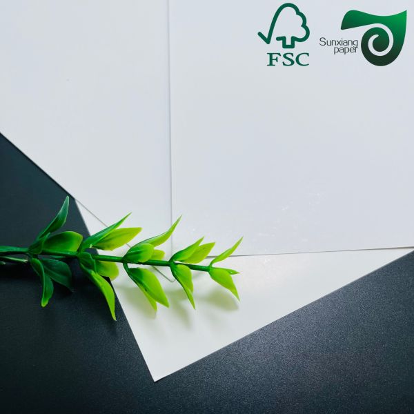 FSC Certified High Printability Double Sided Coated Glossy Cover Paper 460mm 650mm