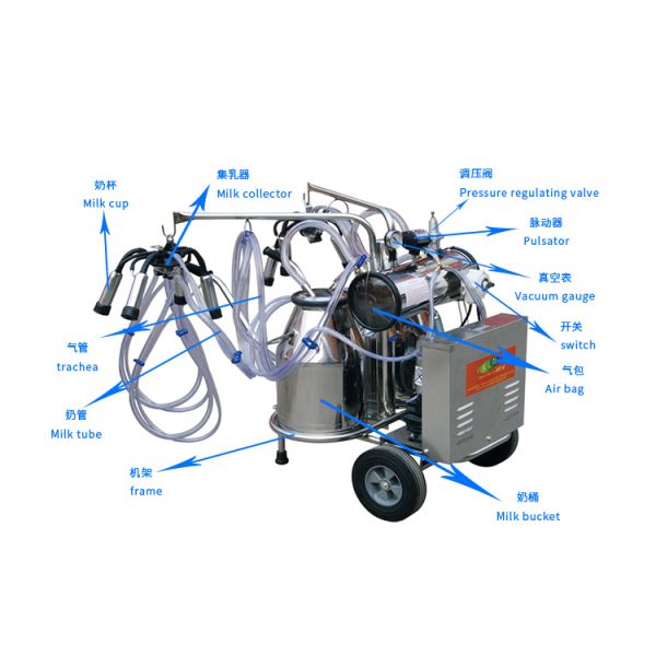 180V Dairy Cow Milking Machine Food Grade Stainless Steel