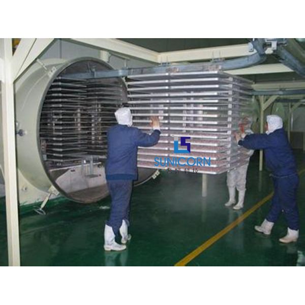 High Efficiency Industrial Lyophilizer , Industrial Fruit Dryer Machine Easy Operation