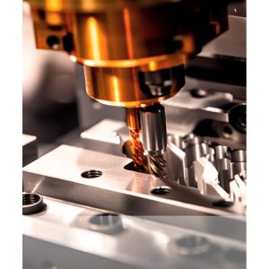 Ziyou Innovation Trading Co., Ltd.