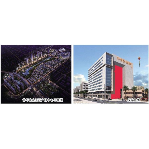 Success Dental Company