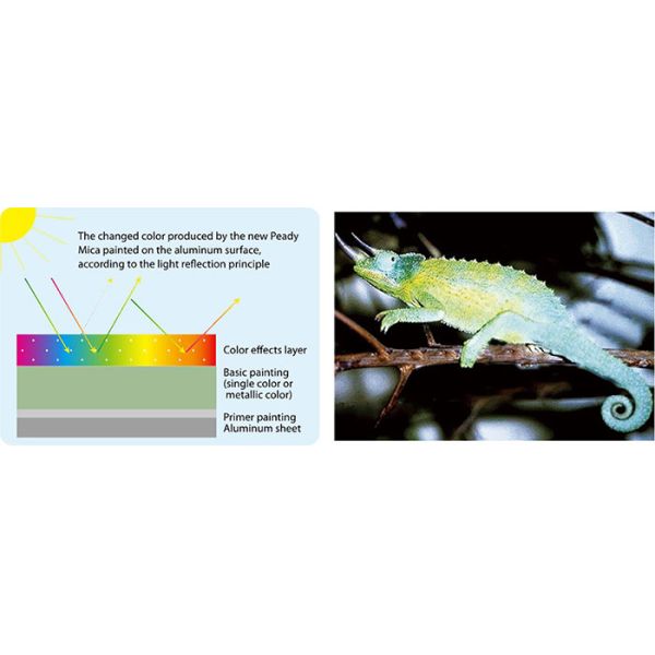 Nontoxic Chameleon Color Aluminum Sheet , Wear Resistant Aluminium Composite Board