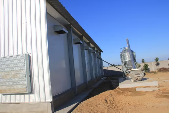 Light Weight Steel Structure Chicken House Customized Size / Color