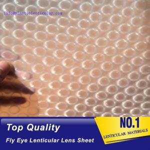 Cheap PLASTIC LENTICULAR latest flying 3d lenses fly-eye plastic sheet film with 3d 360 degree wholesale