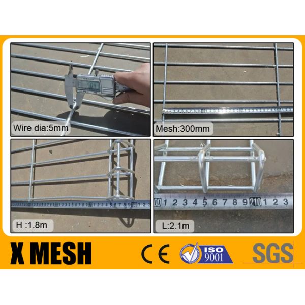 Decorative Roll Top Wire Mesh Fence Panels 1500mm / 2000mm / 2500mm Width
