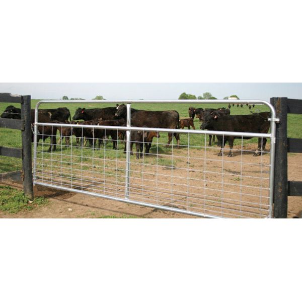 Livestock Cattle 1.6m Metal Farm Gate Galvanized Steel Pipe Design