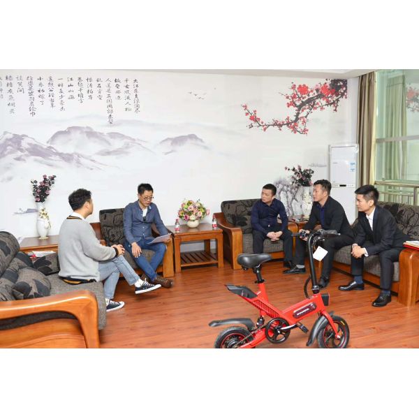 400W Generator Power Small Folding Electric Bike 14'' Super 15 Degree Climbing Ability