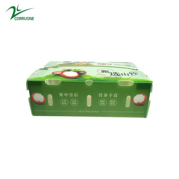 Broccoli Corflute Storage Boxes Honeycomb Corrugated Box For Fruits