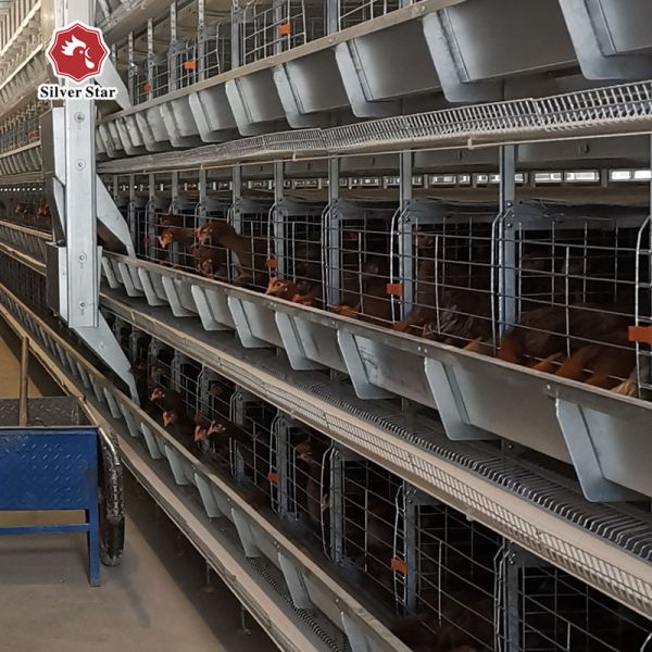 H Type Chicken Farm Battery Cages Dubai Large Scale Laying Hens 275g / M2