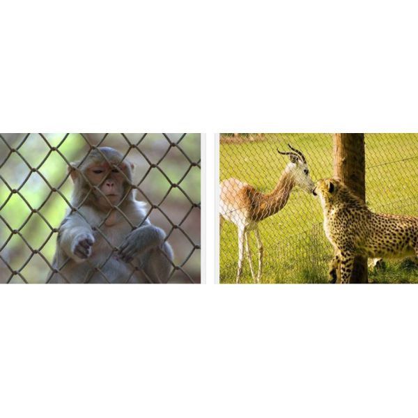 11 BWG 12 BWG Metal Chain Link Fencing OHSAS Wildlife Safe Fencing