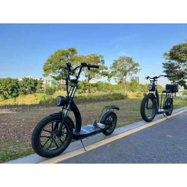 Richbit H200 Fat Electric Scooter Cycle 1000w 48v 16ah 20x3.0 Inch