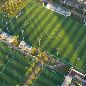 Cheap Football Landscape Putting Green Grass Synthetic Turf Artificial Grass wholesale