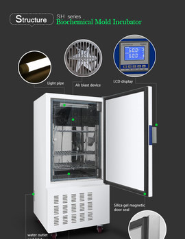 Biological Lab Incubator Machine Incubator For Bacterial Culture 110V 220V
