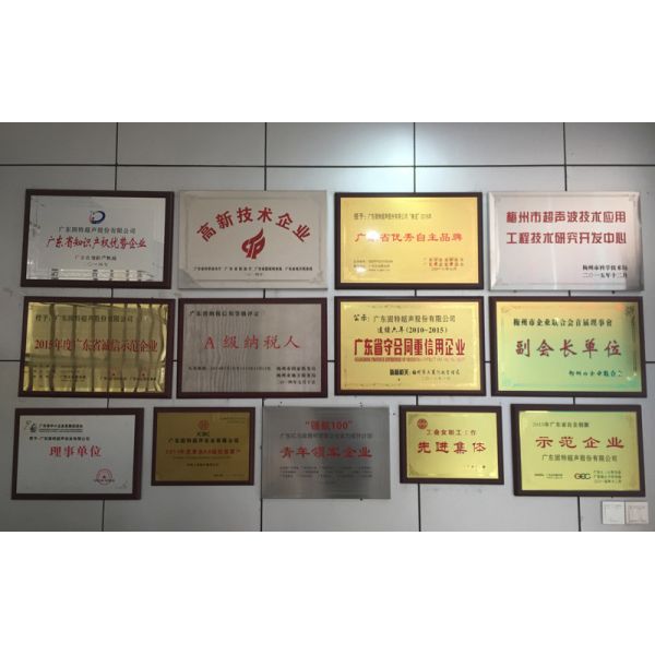 1300ML Big Capacity Household Ultrasonic Cleaning Machine Button Control Detachable Tank