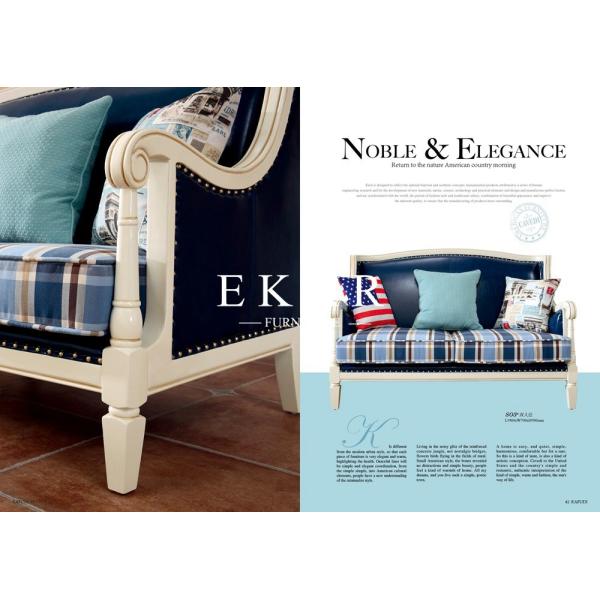American Style Classic Living Room Sofas