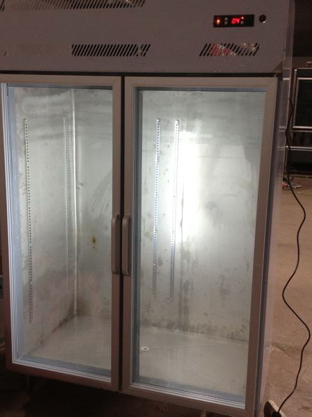 Stainless Steel Commercial Stand Up Freezer For Chicken With 2 / 4 / 6 Glass Doors