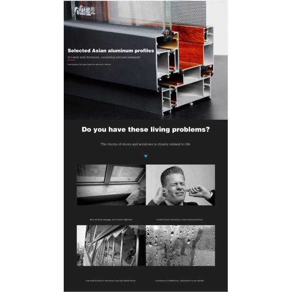 TOPSURE Tilt Glass 1.6mm Aluminum Casement Door