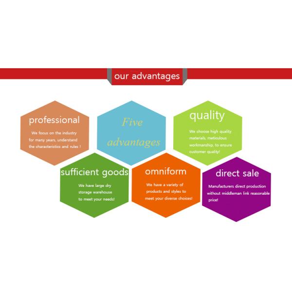 Indoor Wall Hanging Boiler , 12kw Electric Combi Boiler Intelligent Control