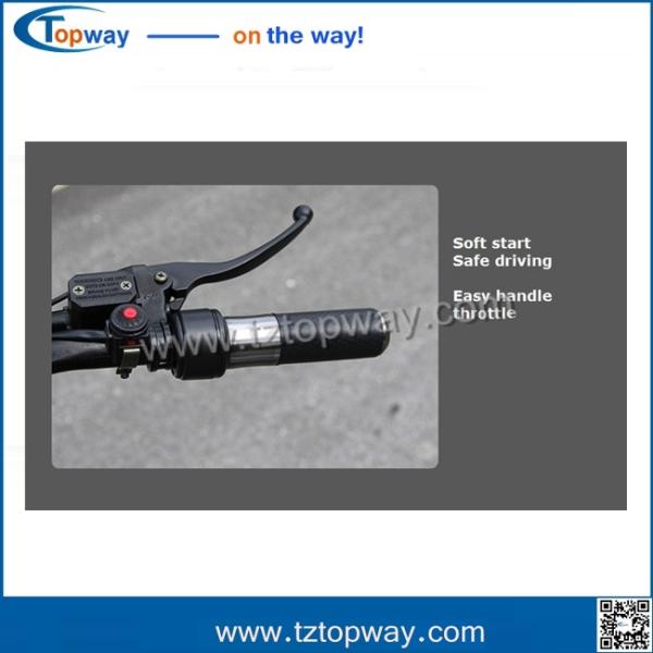 Off Road Chariot Adult Tricycle Powerful High Speed Electric Harley Motorbike