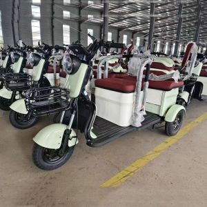 Family Commuting Leisure Electric Tricycle 500 Watt C6 50KM/H