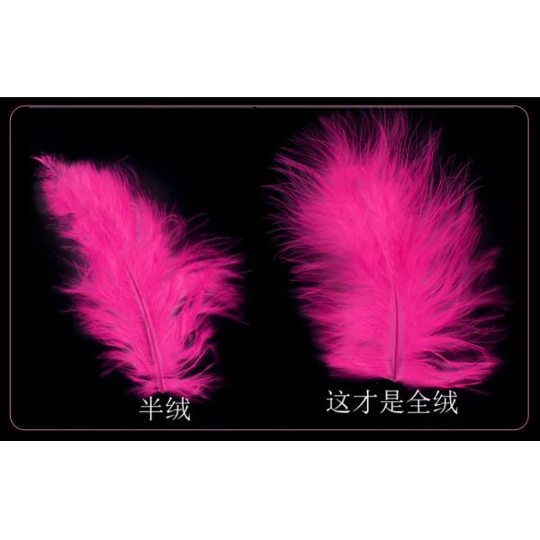 Y-Z Dance Performance Show Art Fan Holiday Party Photography Props Decorative Tassel Feather Big Hand Folding Fan