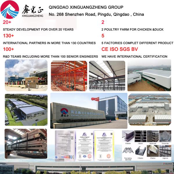 Shot Blasting Steel Structure Workshop OEM Prefab Steel Frame Buildings