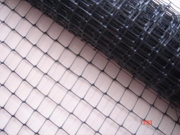 Quality Extruded Plastic Anti Bird Netting Deer Fence Netting / Hdpe Anti Uv Square Mesh for sale