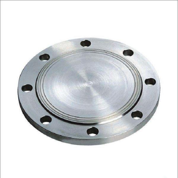 Forged Steel Flange Carbon Steel Forged Flange Bearing