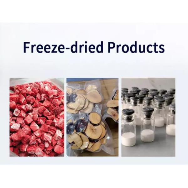 SED-0.2DG 380V 50HZ Three Phase Lab Use Mini Freeze Dry Machine / Vacuum Freeze Dryer With Small Production Capacity