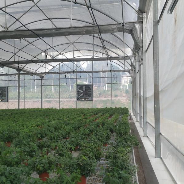 Sunlight Plastic Film Greenhouse / Plastic Sheeting Rolls Greenhouse