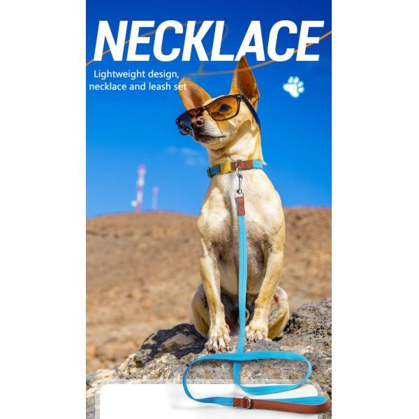 Small and medium-sized dog collar traction set anti-breakaway pet collar dog traction rope